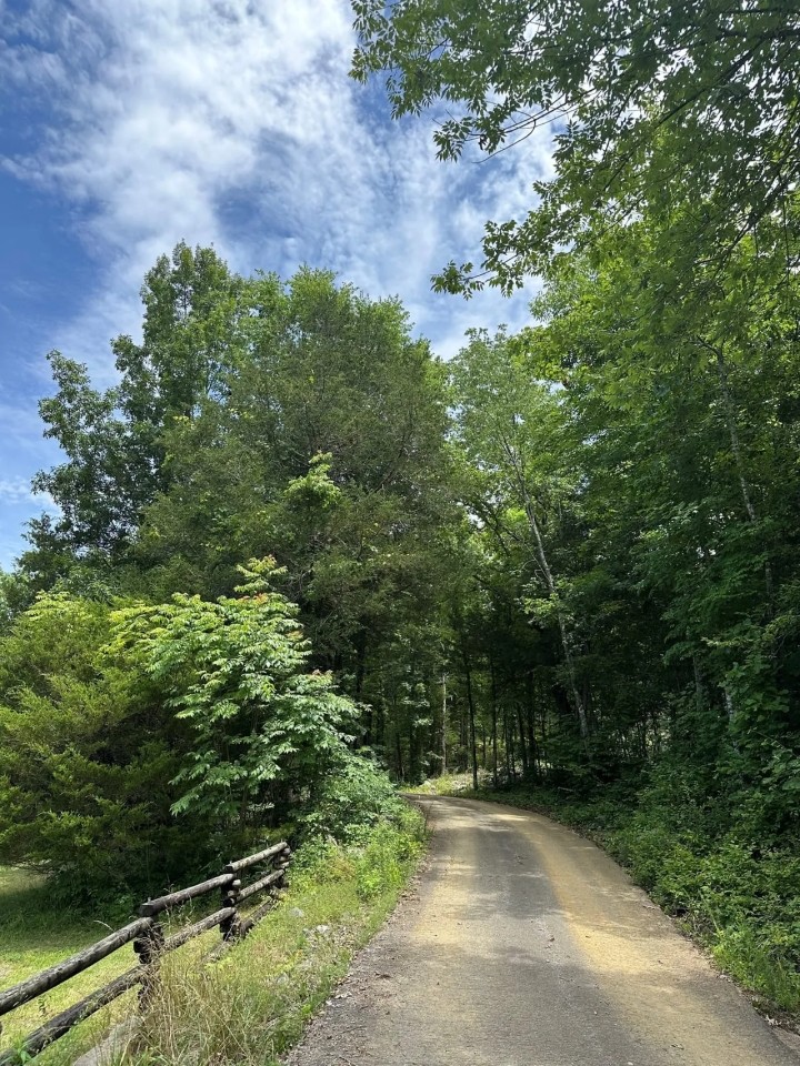 65.40 -acres unrestricted property situated in the scenic Sweetens Cove featured image