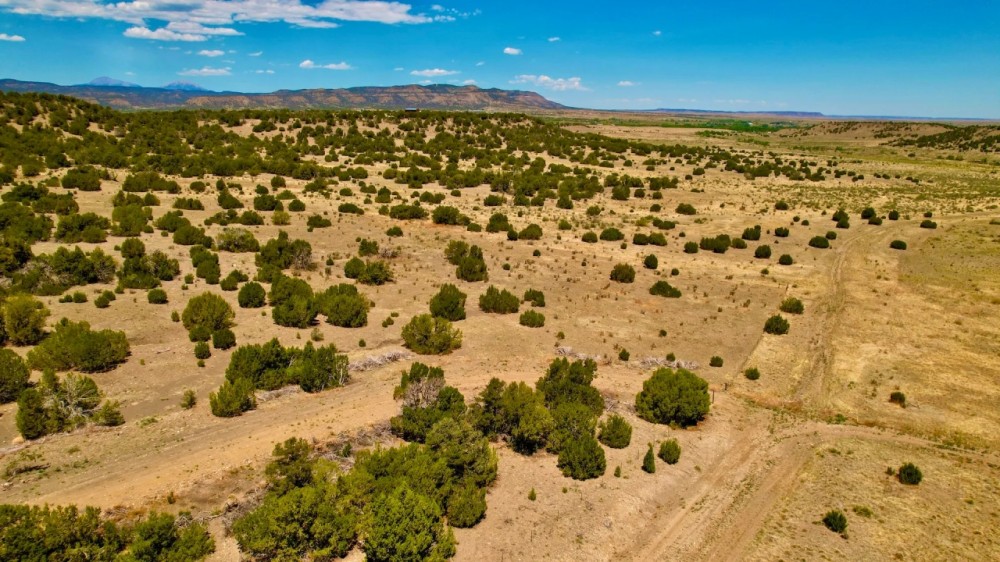 Kickin Kunzite Road Acreage featured image
