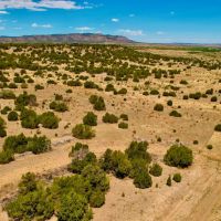 Kickin Kunzite Road Acreage