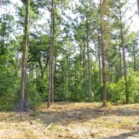 38.83 ACRES RUSK NACOGDOCHES COUNTY TEXAS images 3