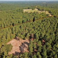 38.83 ACRES RUSK NACOGDOCHES COUNTY TEXAS images 4