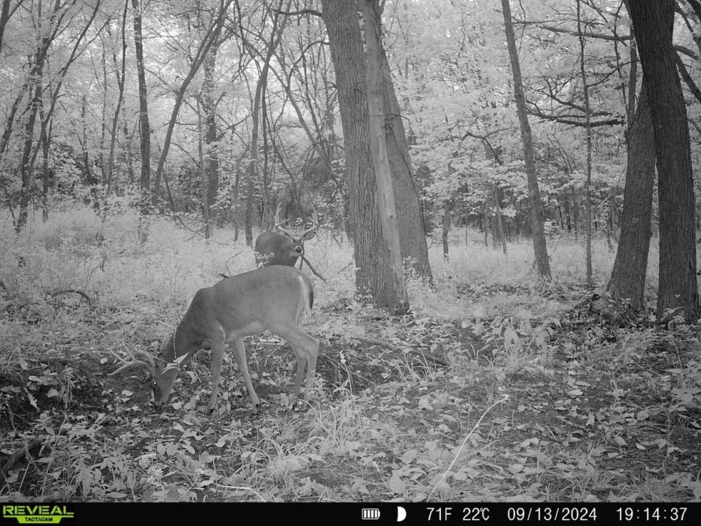 Sullivan County 120 featured image