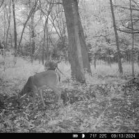 Sullivan County 120