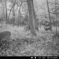 Sullivan County 120 images 2