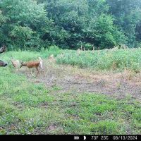 Sullivan County 120 images 3
