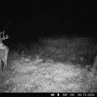 Sullivan County 120 images 4