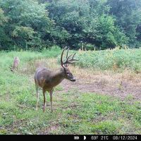 Sullivan County 120 images 5