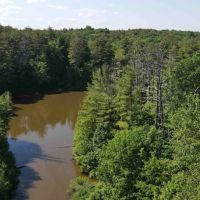 32 acres Hunting Land and Recreational Land with Ponds in Coxsackie NY Eagle Nest Rd images 3