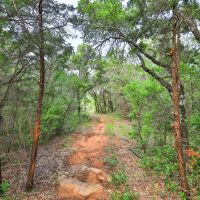 Brier Bend Ranch images 2