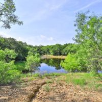 Brier Bend Ranch images 4