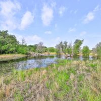 Brier Bend Ranch images 5