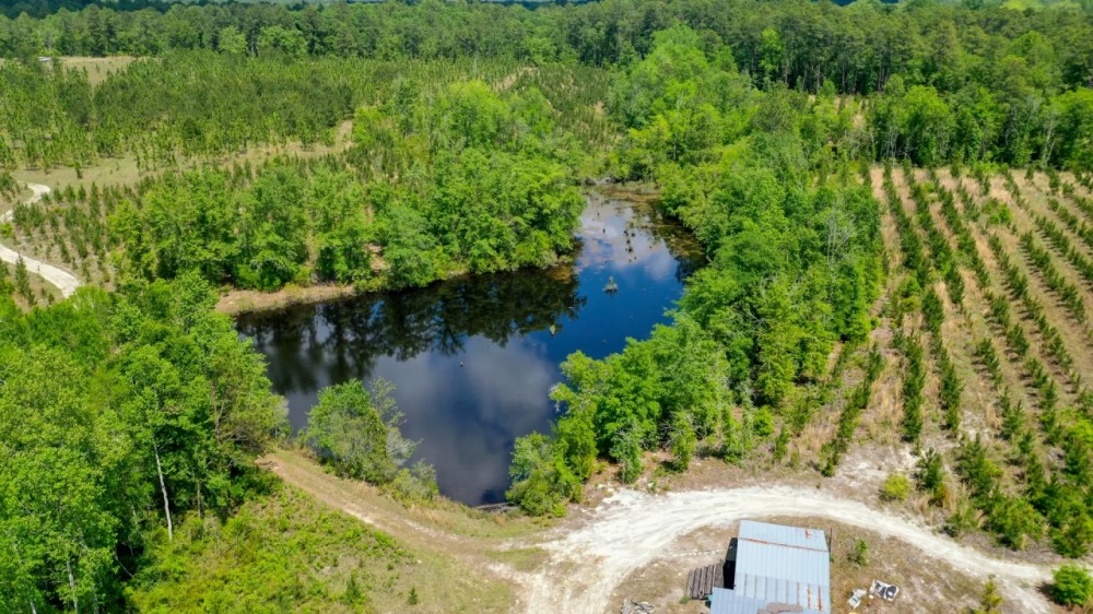 Emanuel County GA Pond and Pines featured image