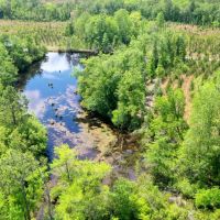 Emanuel County GA Pond and Pines images 4