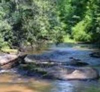 Blue Mountain WMA - 8200 acres Waterfowl hunting land in Logan, AR
