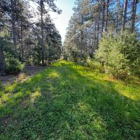 Adams County Land Consisting of 43.85 Acres of Timber