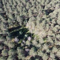 Adams County Land Consisting of 43.85 Acres of Timber images 2