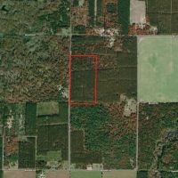 Adams County Land Consisting of 43.85 Acres of Timber images 3