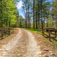267 Acre Hunting Paradise images 3