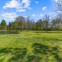 267 Acre Hunting Paradise images 4
