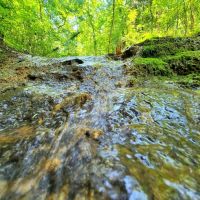 35 Prime Acres images 4