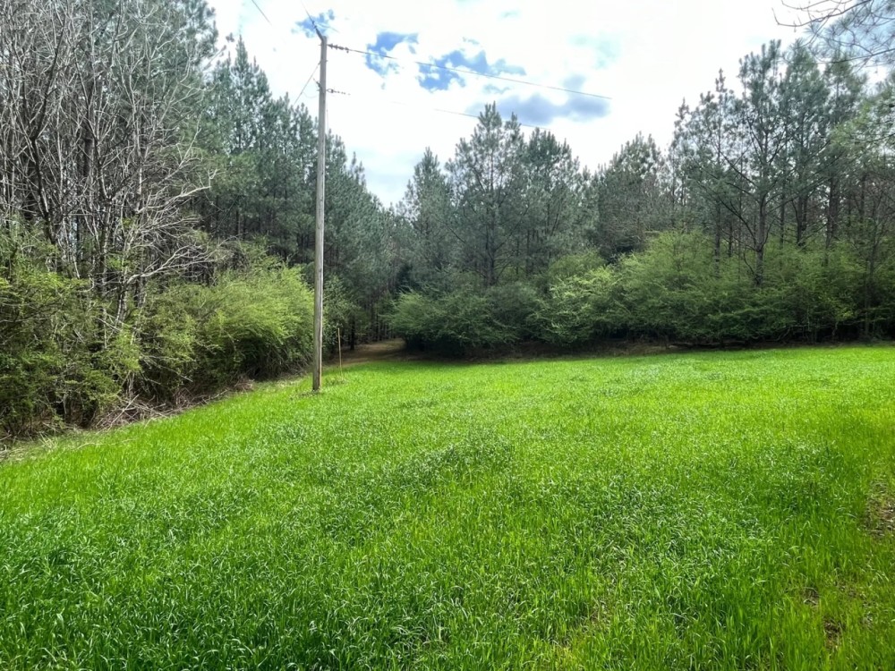 52.2 -acres near Greenville AL featured image