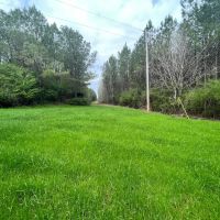 52.2 -acres near Greenville AL images 2
