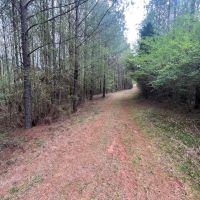 52.2 -acres near Greenville AL images 5