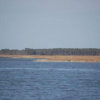 Deer & Duck hunting land of 3,200 acres Ellis Bay in Wicomico, MD