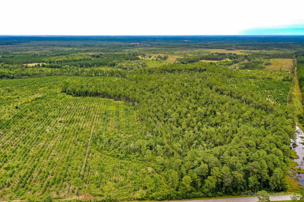 62 Acre Country Living in Ware County GA featured image