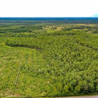 62 Acre Country Living in Ware County GA