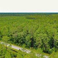 62 Acre Country Living in Ware County GA images 3