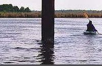 Fishing Bay WMA - 29000 acres Duck & Deer hunting land in Dorchester, MD