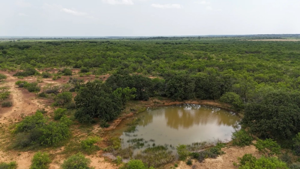 100 - Acres….Hunting Surface water Heavy cover Oaks featured image