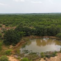100 - Acres….Hunting Surface water Heavy cover Oaks