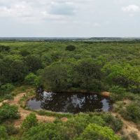 100 - Acres….Hunting Surface water Heavy cover Oaks images 2