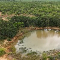 100 - Acres….Hunting Surface water Heavy cover Oaks images 4