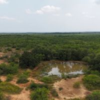 100 - Acres….Hunting Surface water Heavy cover Oaks images 5