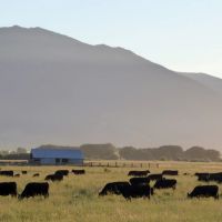 Northeast Oregon s Premier Estate The DLX Ranch images 3