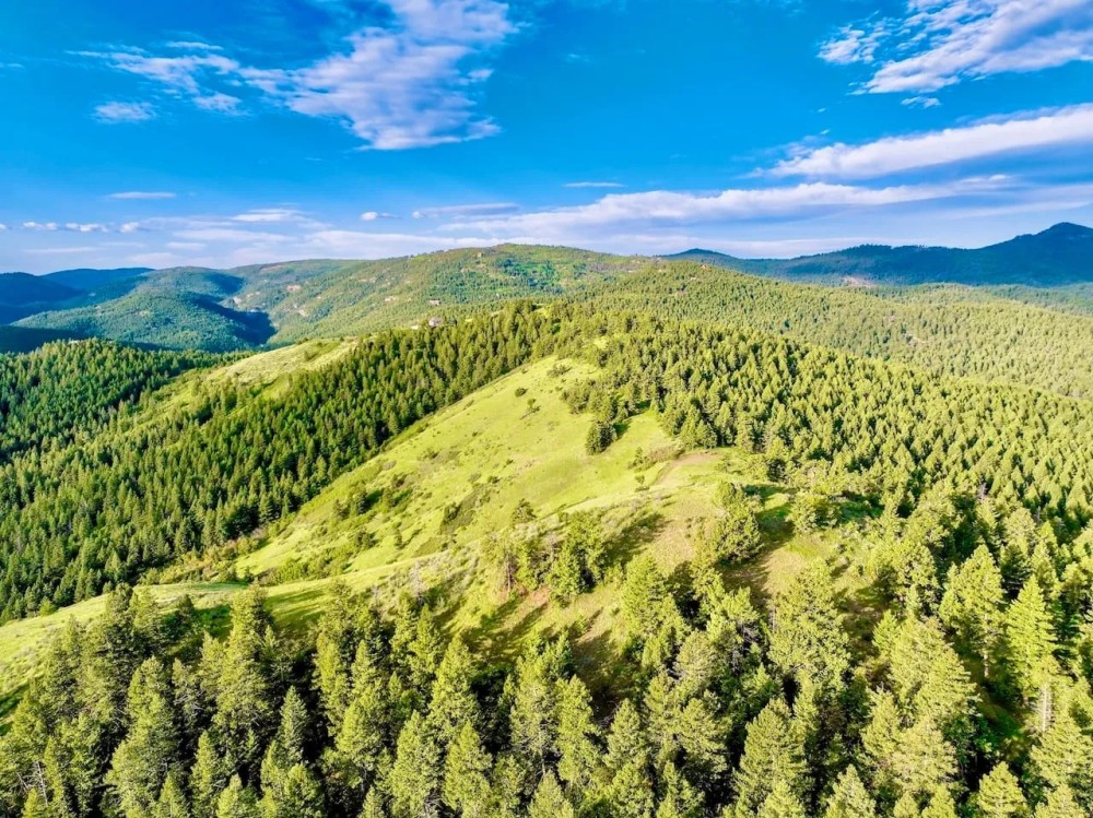Dynamic Deer Creek Canyon featured image