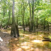 Old River Road Tract images 5