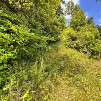 4 Acres of Land