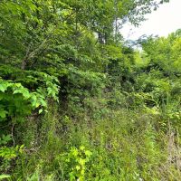 4 Acres of Land images 4