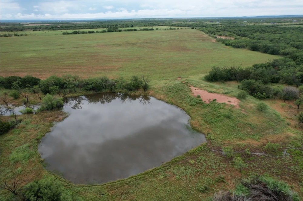 New Listing 16 - Acres Taylor County Tract 1 featured image