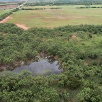 New Listing 16 - Acres Taylor County Tract 1 images 3