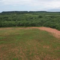 New Listing 16 - Acres Taylor County Tract 1 images 4