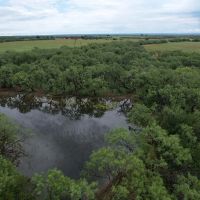 New Listing 16 - Acres Taylor County Tract 1 images 5