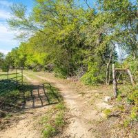 000 FM 1246 Thornton TX 76687 images 3