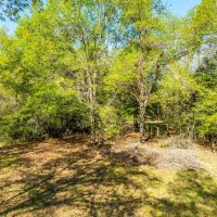 000 FM 1246 Thornton TX 76687 images 4