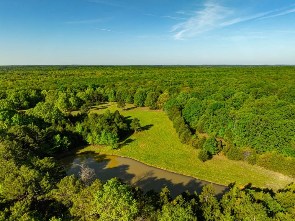 77 - Acres Pasture Woods Pond Driveway off Jackson 6 Bradford Arkansas featured image