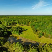 77 - Acres Pasture Woods Pond Driveway off Jackson 6 Bradford Arkansas